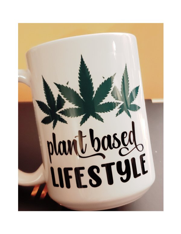 Plantbased Lifestyle Marijuana Pun Mug - Saunni Bee -