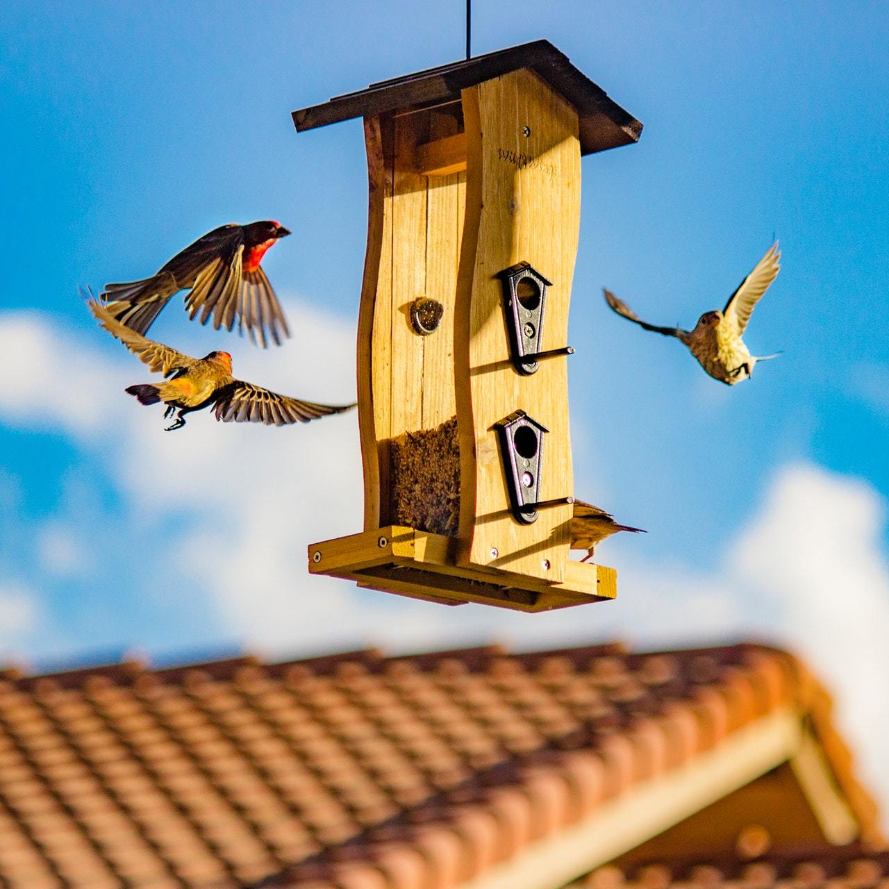 Birdhouses | Saunni Bee