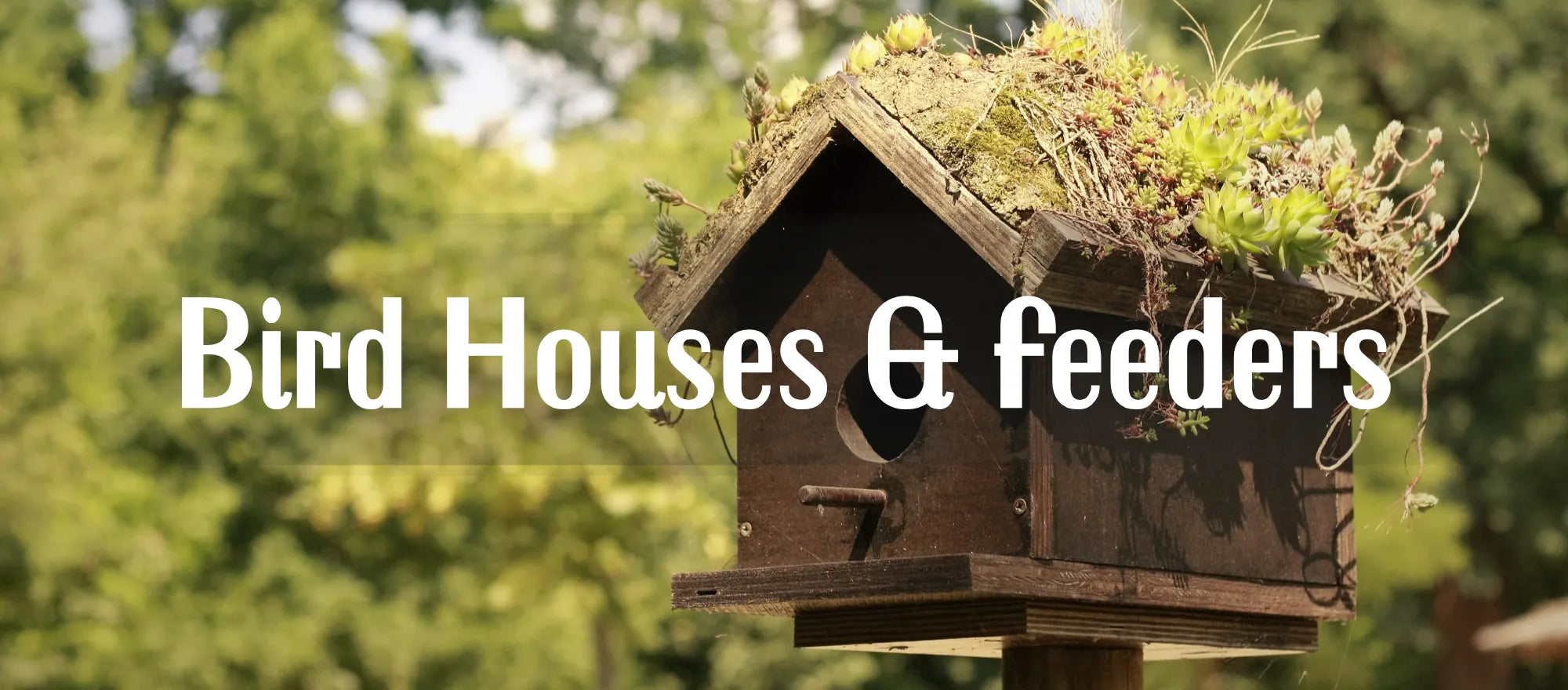 Birdhouses | Feeders - Saunni Bee