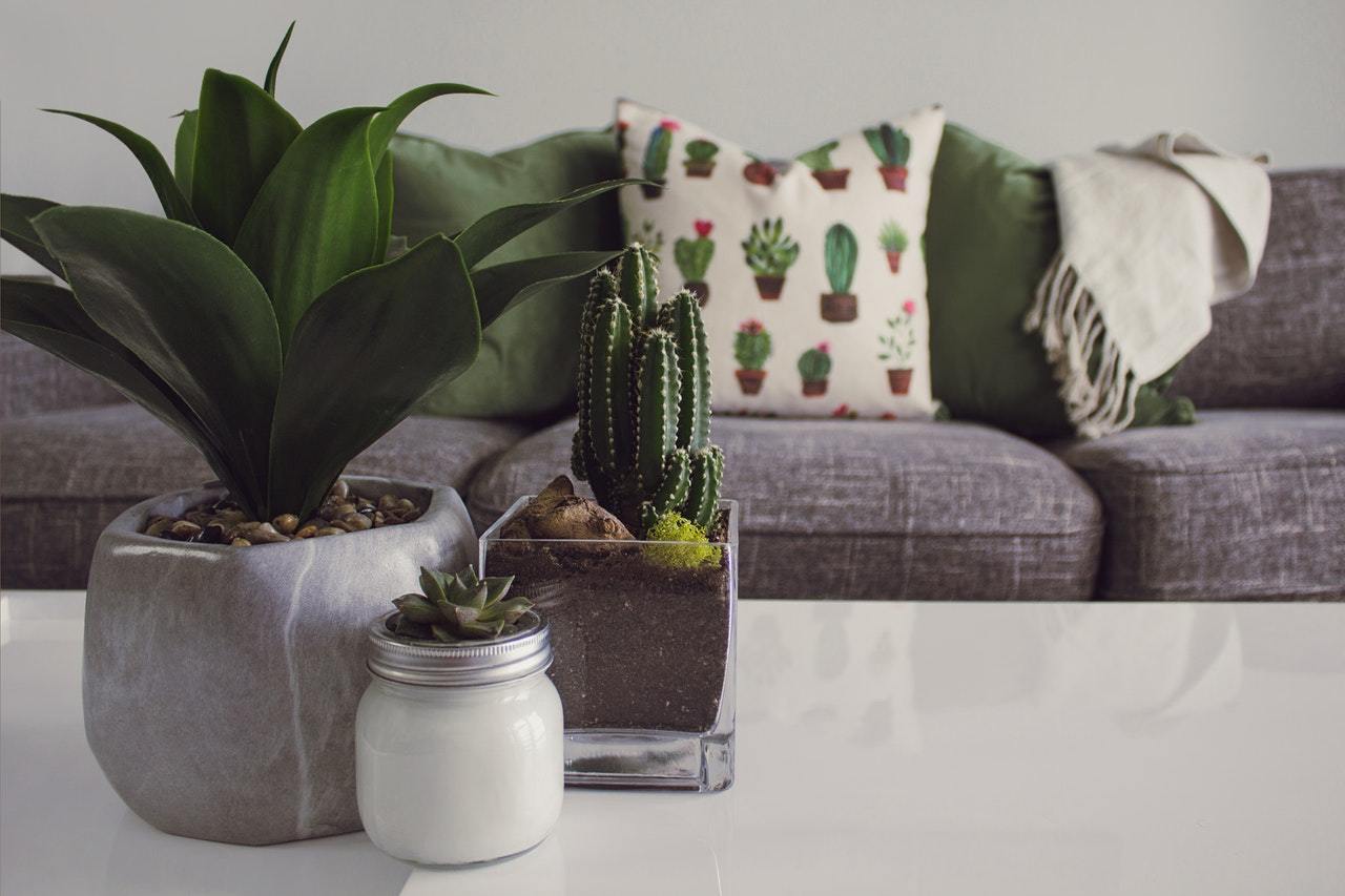 Decor | Saunni Bee