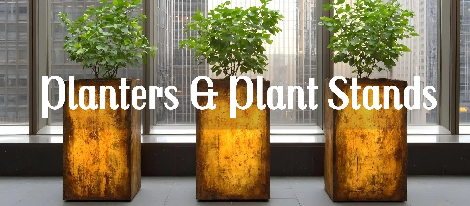 Planters & Plant Stands - Saunni Bee