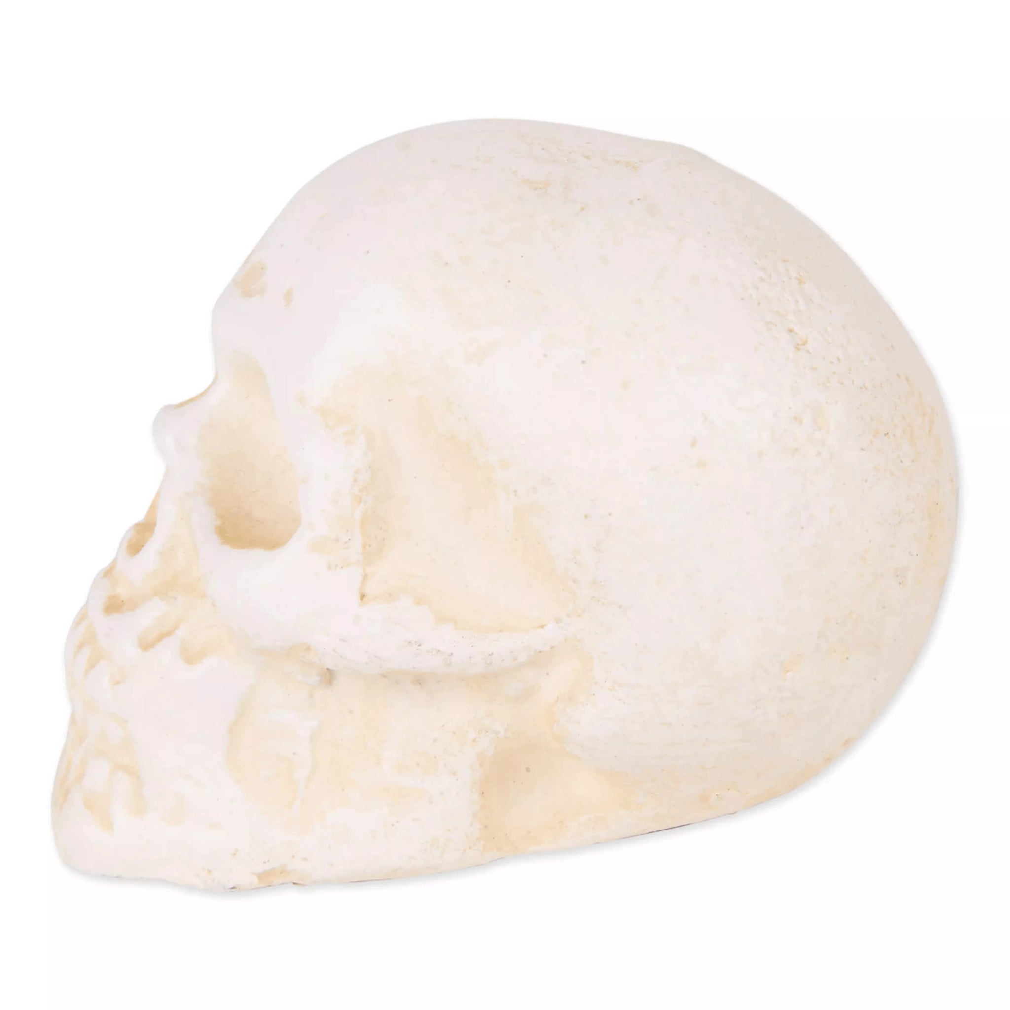 Human Skull Cast Iron Paper Weight - Saunni Bee - Halloween