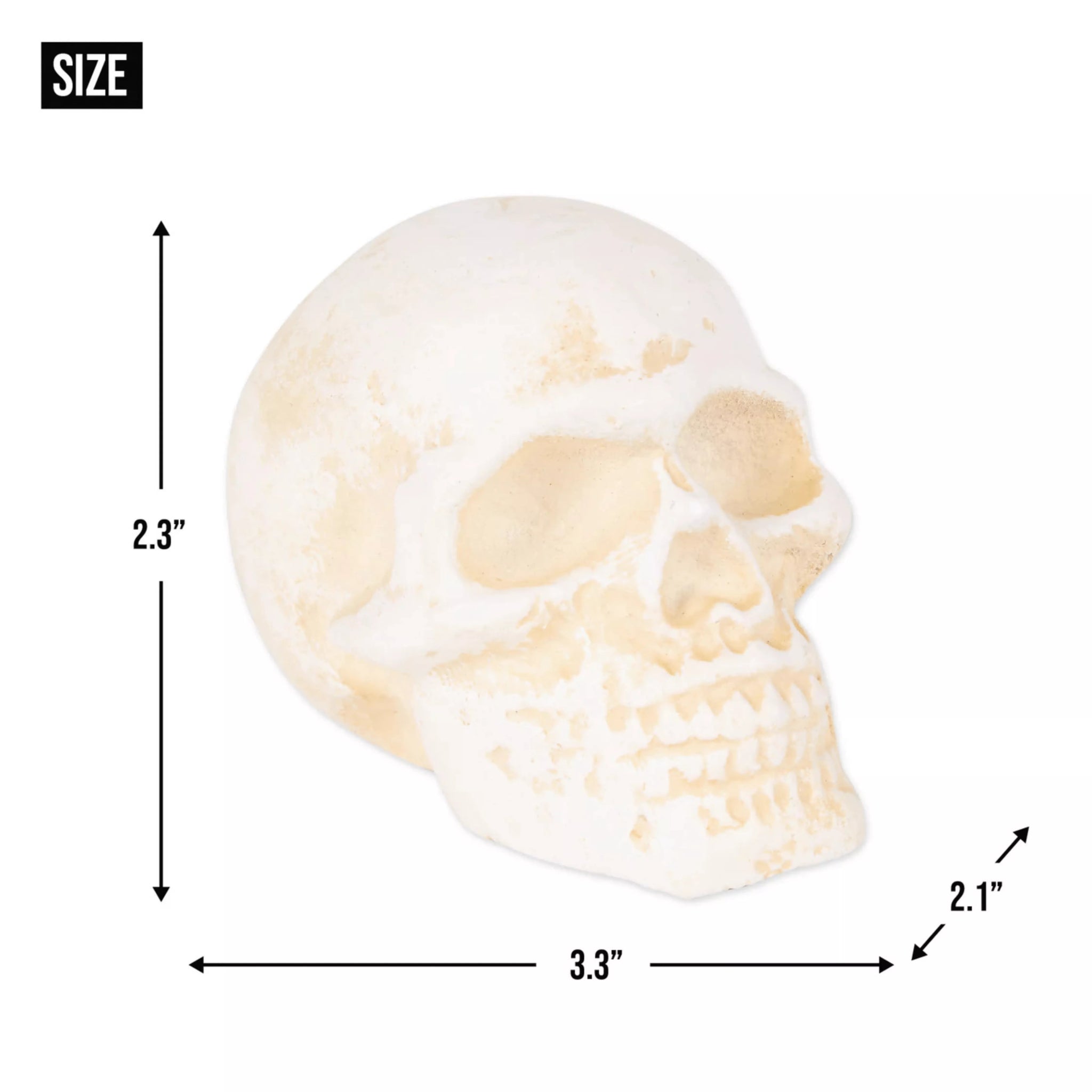 Human Skull Cast Iron Paper Weight - Saunni Bee - Halloween