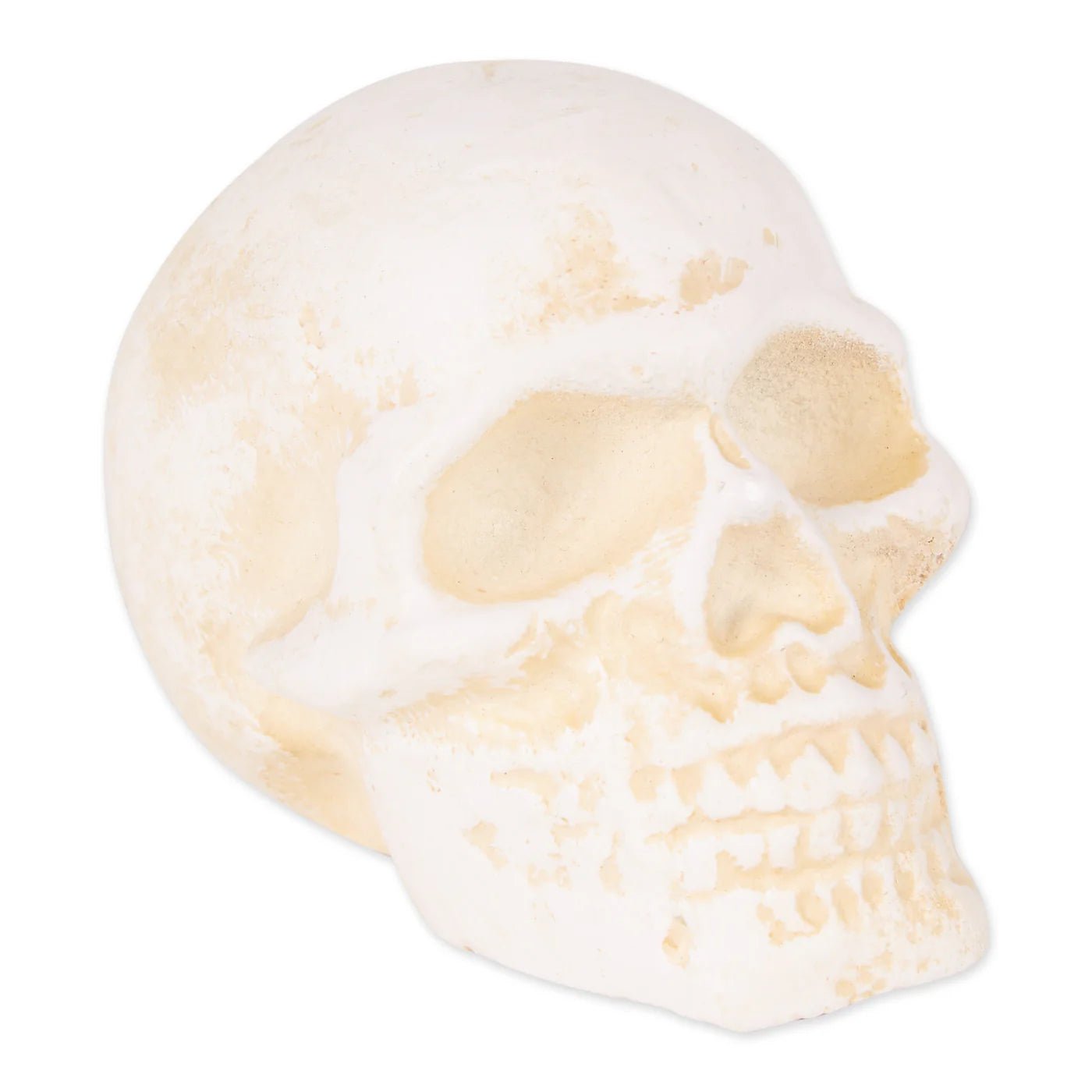 Human Skull Cast Iron Paper Weight - Saunni Bee - Halloween