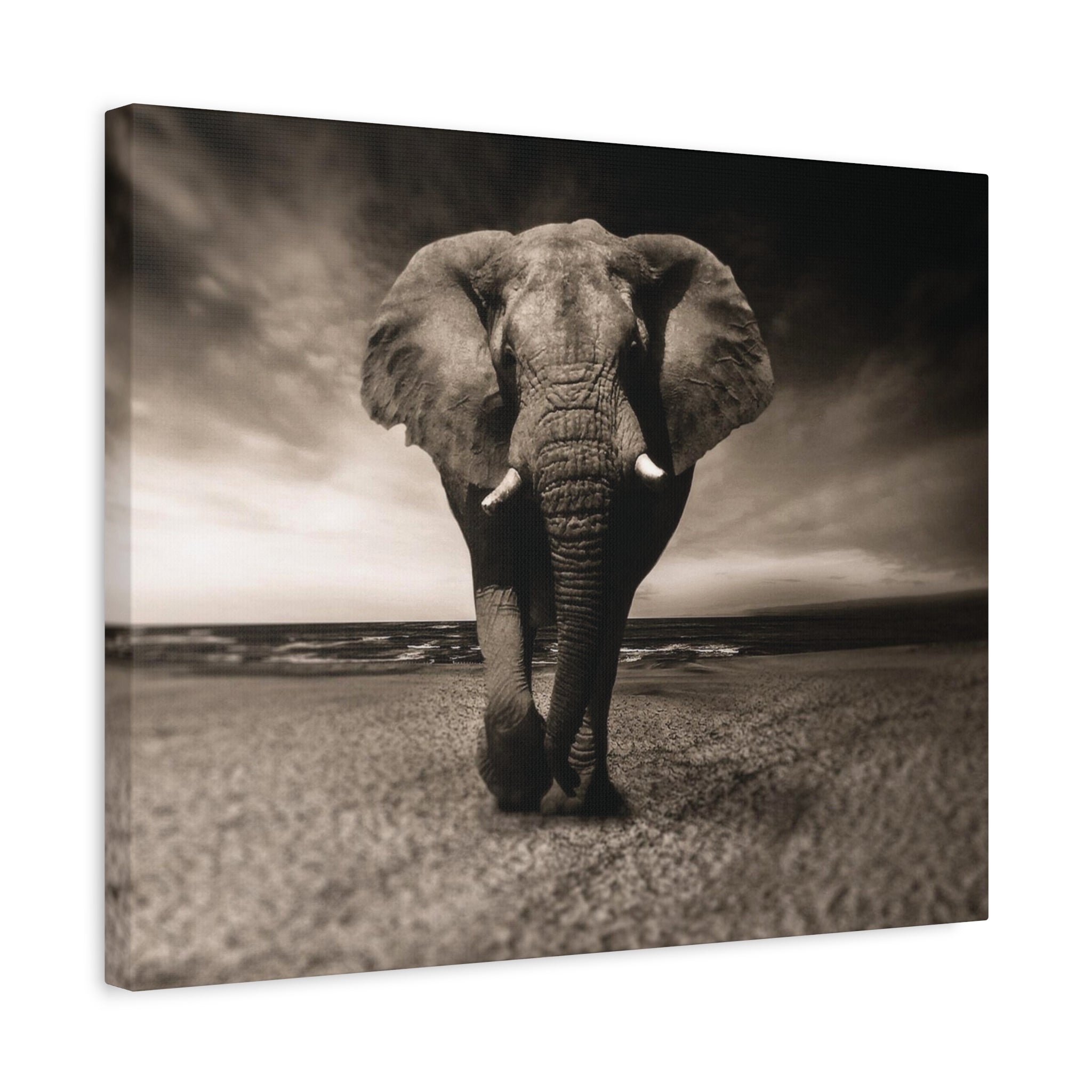 Majestic Stroll – Lucky Elephant Wall Art Print - Saunni Bee - Canvas