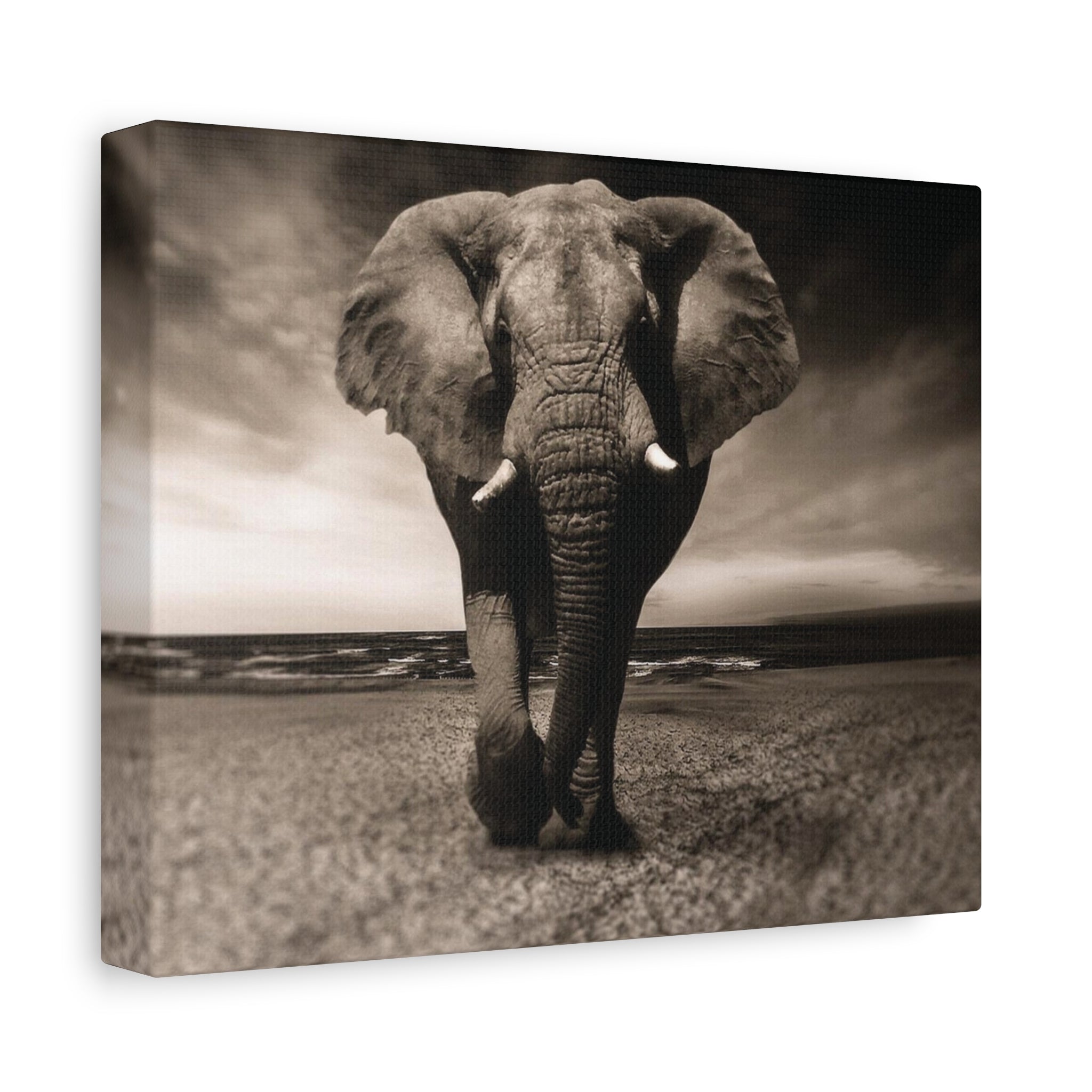 Majestic Stroll – Lucky Elephant Wall Art Print - Saunni Bee - Canvas