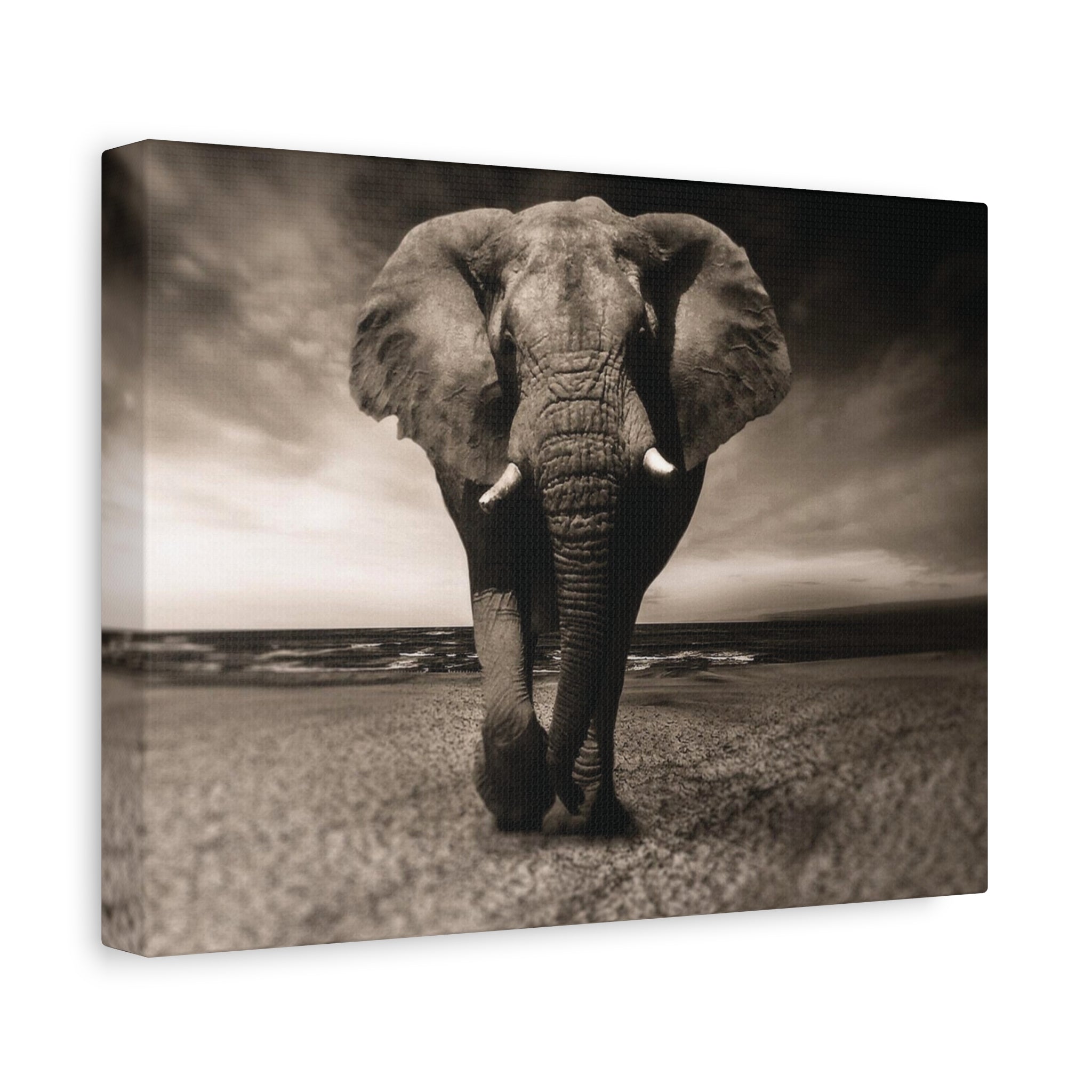 Majestic Stroll – Lucky Elephant Wall Art Print - Saunni Bee - Canvas
