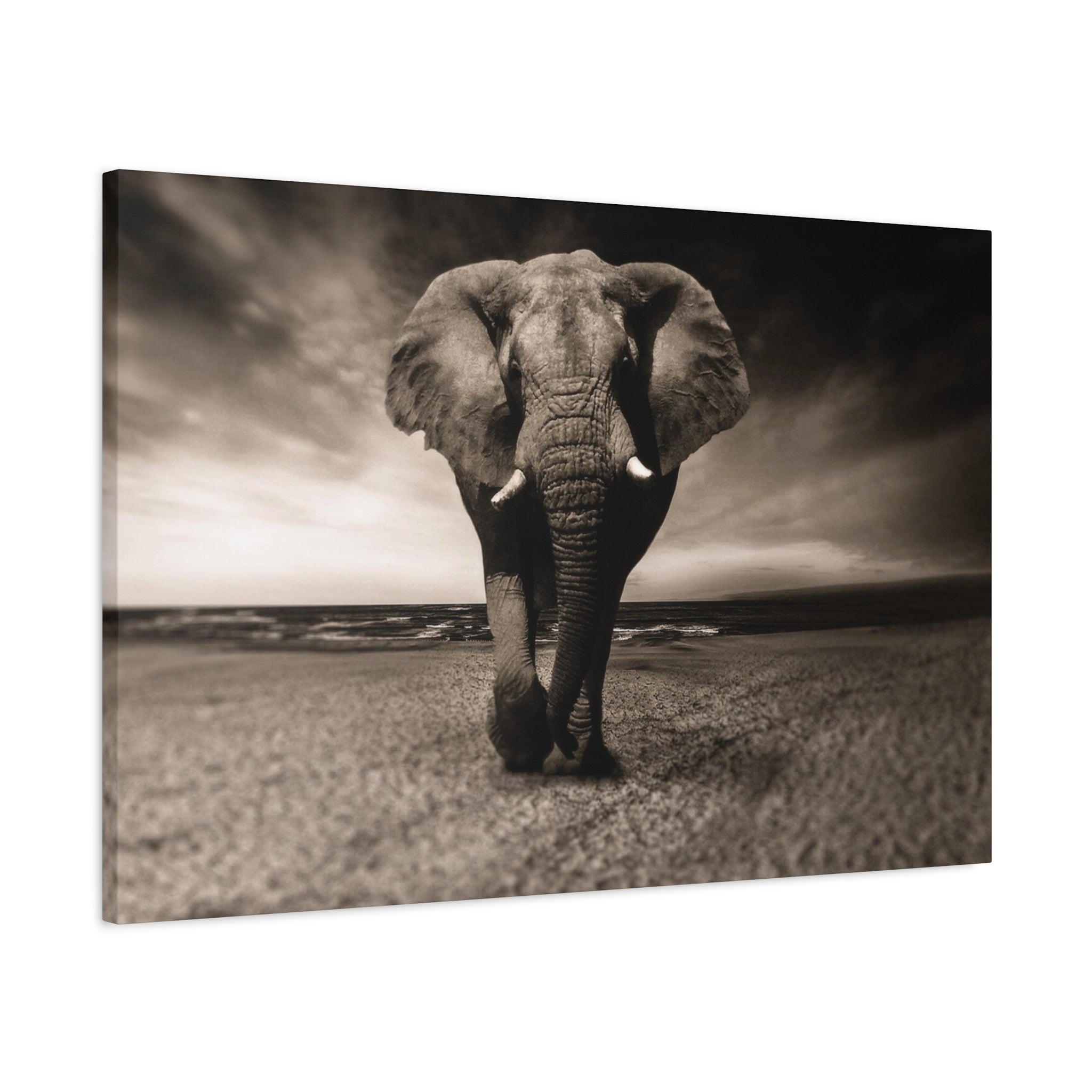 Majestic Stroll – Lucky Elephant Wall Art Print - Saunni Bee - Canvas