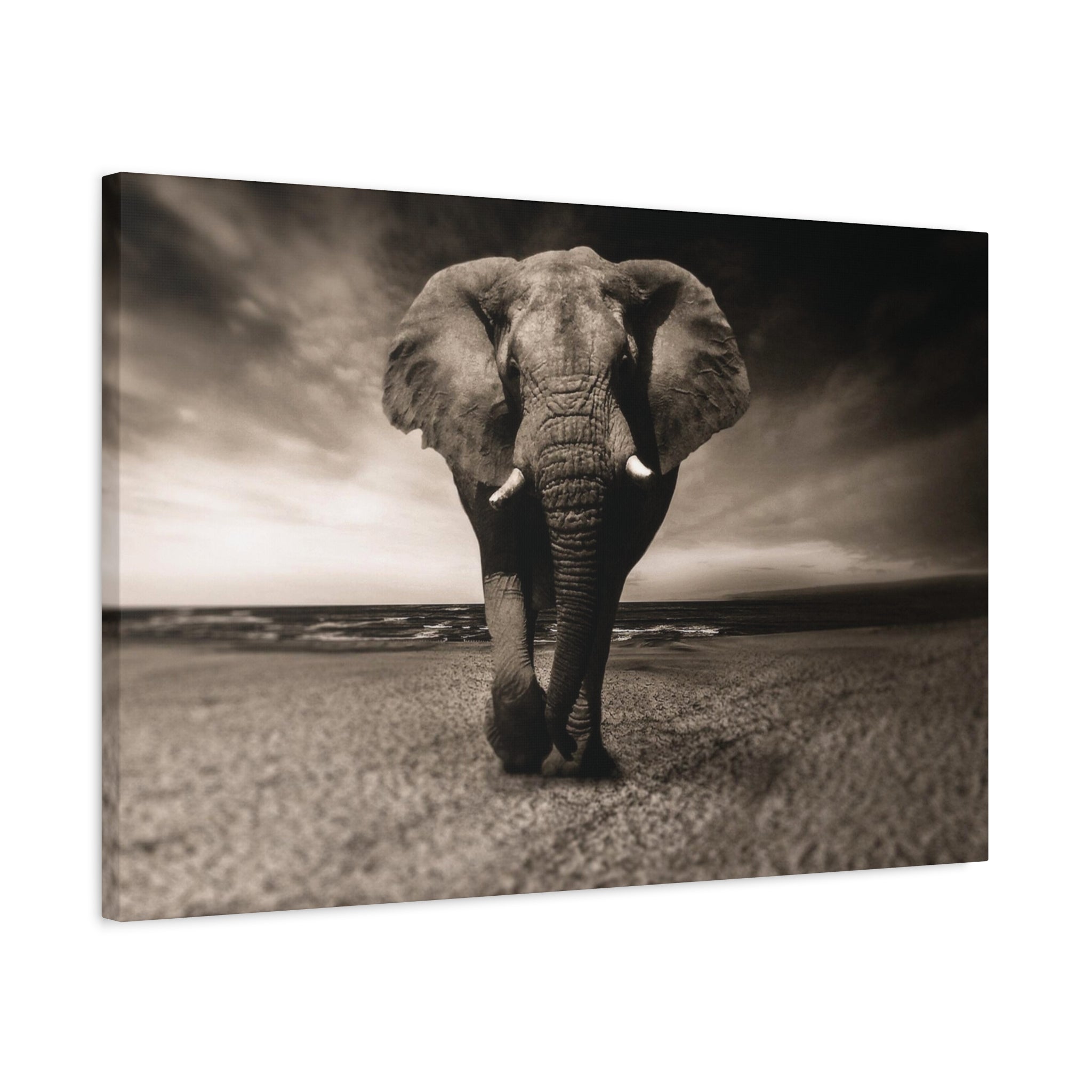 Majestic Stroll – Lucky Elephant Wall Art Print - Saunni Bee - Canvas