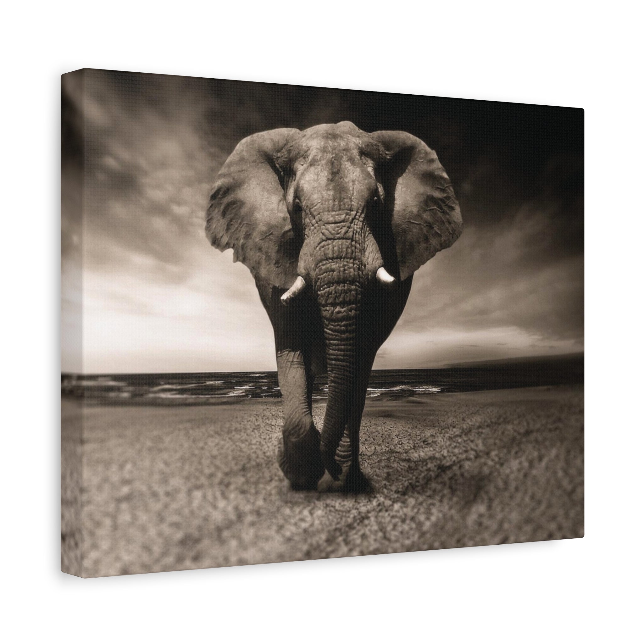 Majestic Stroll – Lucky Elephant Wall Art Print - Saunni Bee - Canvas