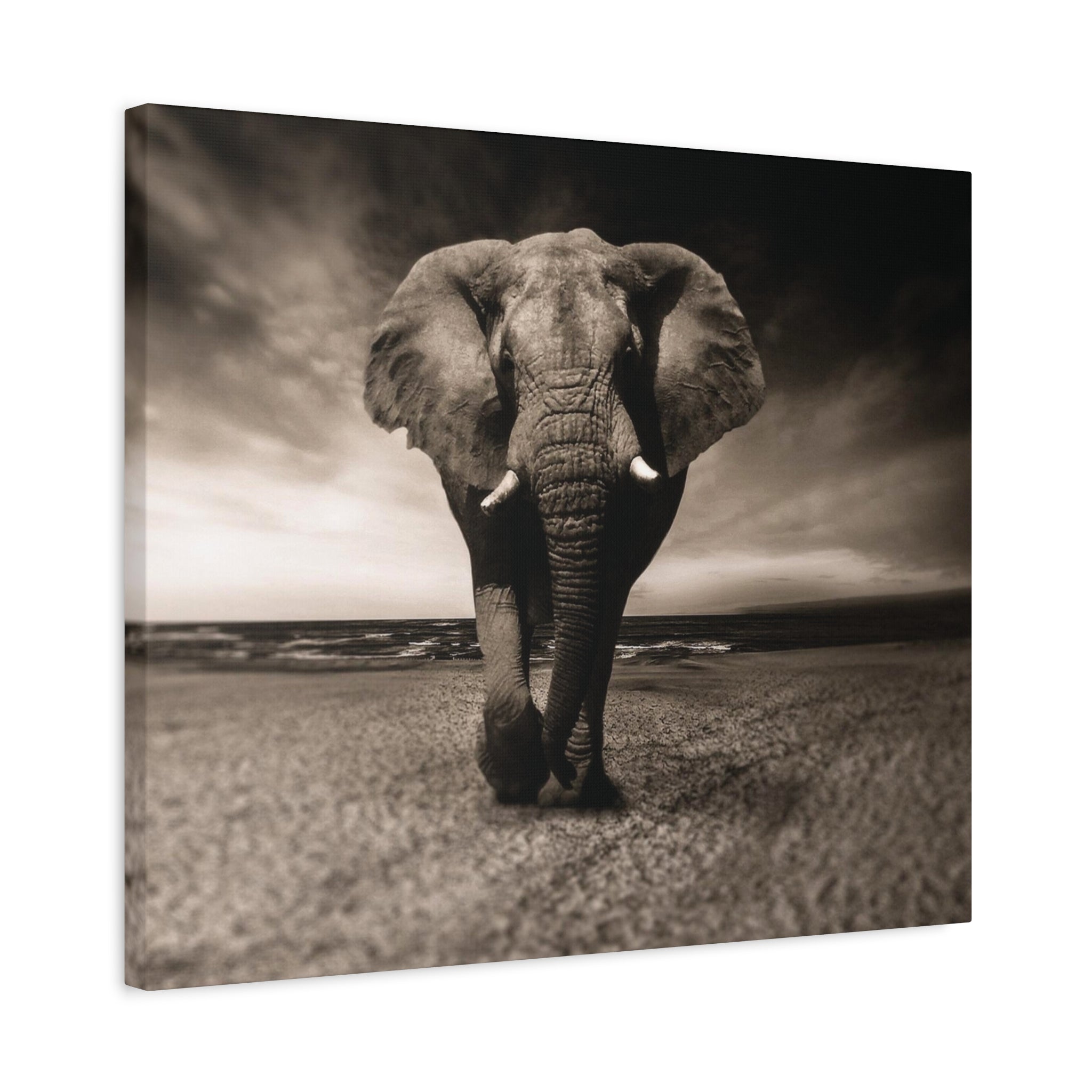 Majestic Stroll – Lucky Elephant Wall Art Print - Saunni Bee - Canvas
