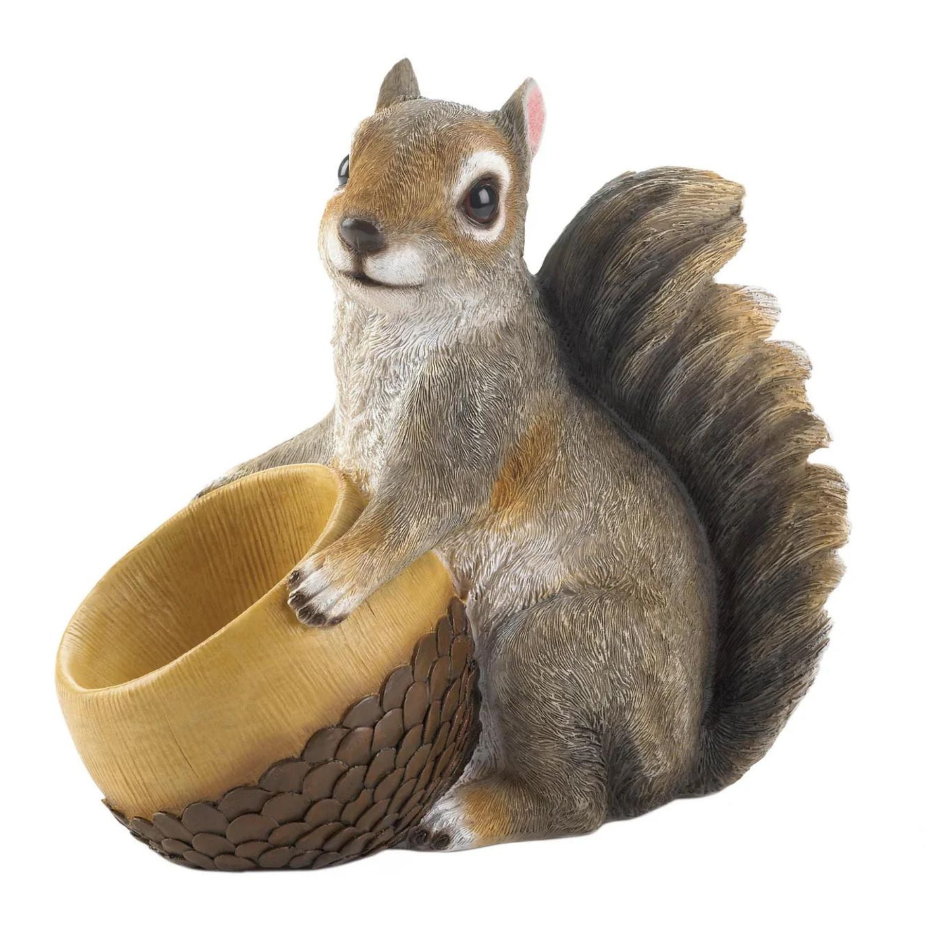 Squirrel and Acorn Bird Feeder - Saunni Bee - Bird Feeder