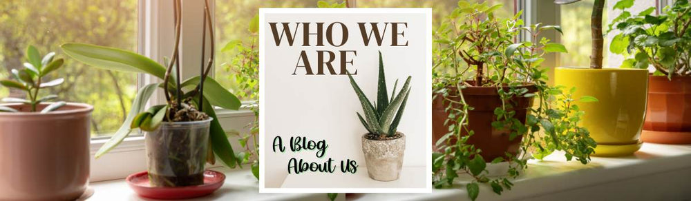 who-we-are-slider.jpg?v=1698540538&width=1000