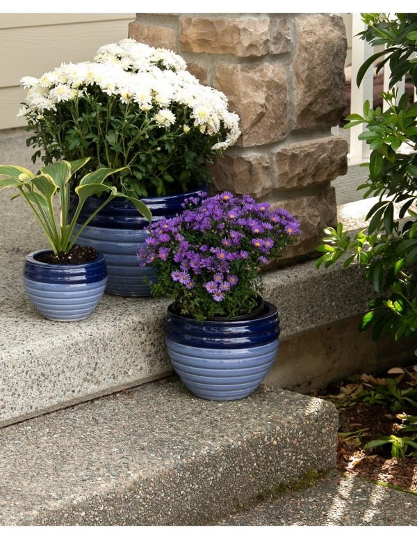 Ceramic Duo Blue Tone Planter Trio - Saunni Bee - Planter