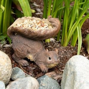 squirrel bird feeder
